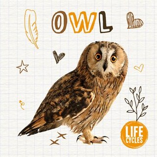 Front cover_Owl