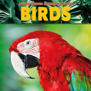 Couverture_Birds