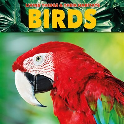 Couverture_Birds