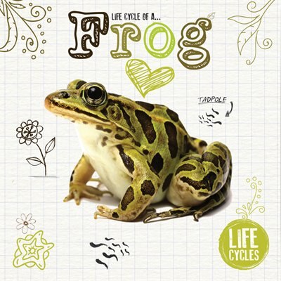 Couverture_Life Cycle Of A Frog
