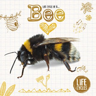 Couverture_Life Cycle Of A Bee
