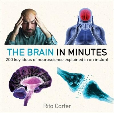 The Brain in Minutes: 200 key ideas of neuroscience explained in an instant