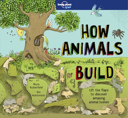 Lonely Planet How Animals Build 1 1st Ed.: Lift the flaps to discover amazing animal homes