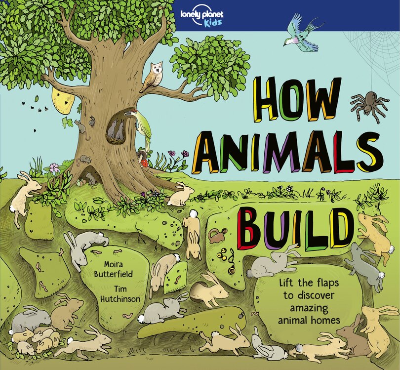 Lonely Planet How Animals Build 1 1st Ed.: Lift the flaps to discover amazing animal homes