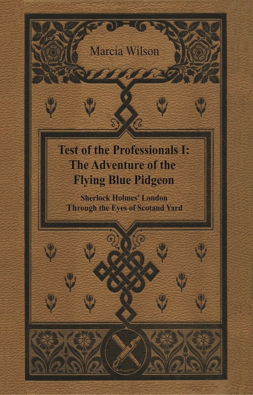 Front cover_The Adventure of the Flying Blue Pidgeon