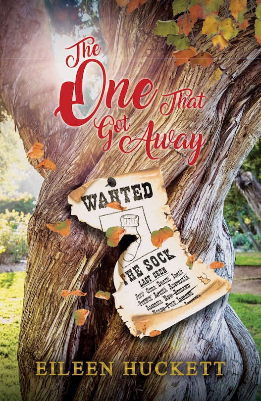 Couverture_The One That Got Away