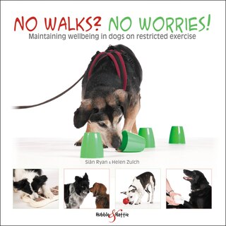 Couverture_No Walks? No Worries!