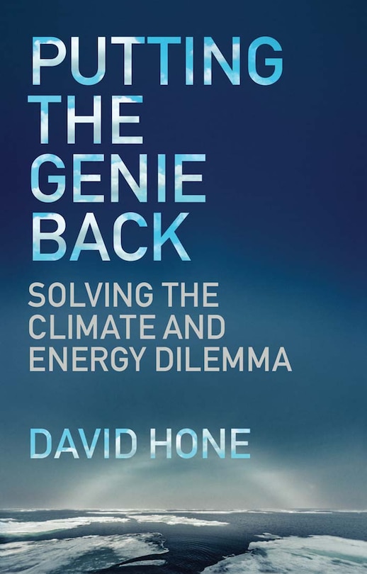 Couverture_Putting the Genie Back