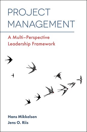 Project Management: A Multi-Perspective Leadership Framework