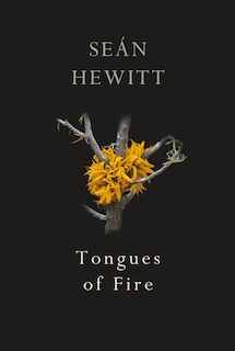 Front cover_Tongues Of Fire