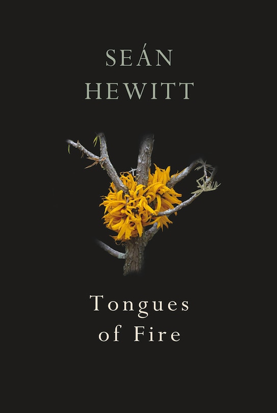 Front cover_Tongues Of Fire