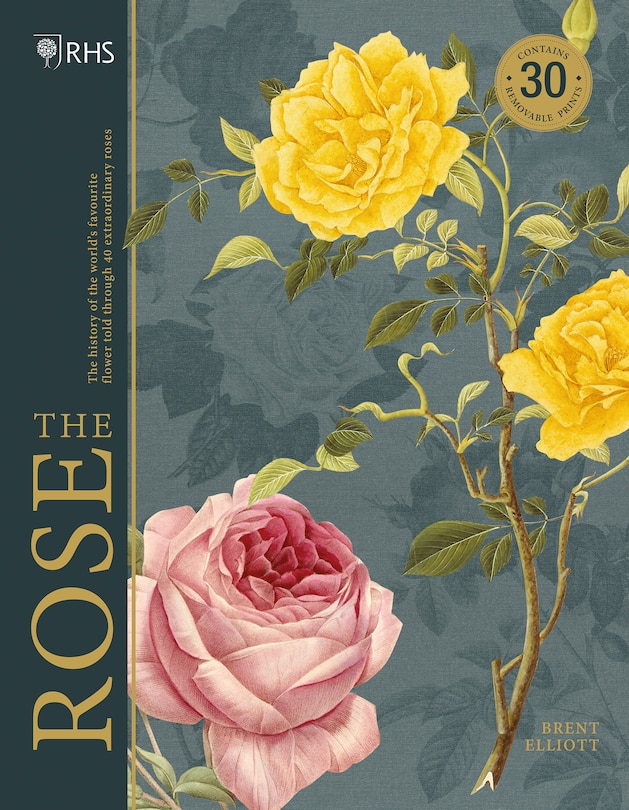 Front cover_Rhs The Rose
