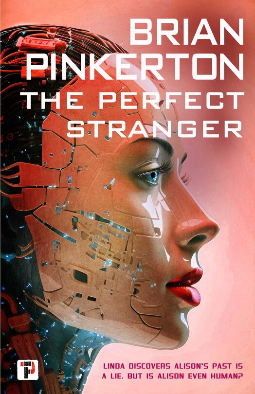 Front cover_The Perfect Stranger