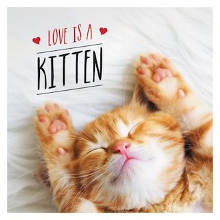 Couverture_Love is a Kitten