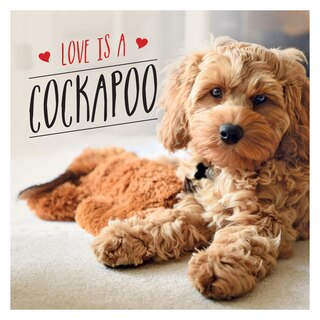 Front cover_Love is a Cockapoo
