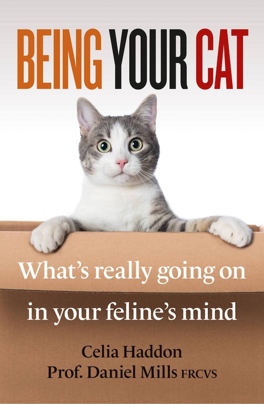 Couverture_Being Your Cat