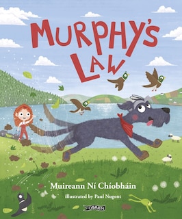 Murphy's Law