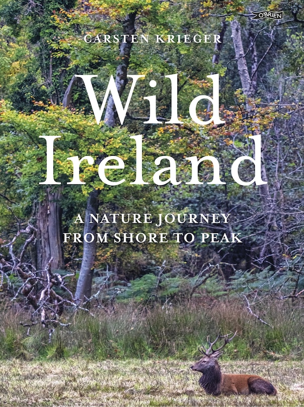 Couverture_Wild Ireland