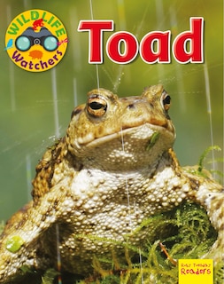 Front cover_Toad