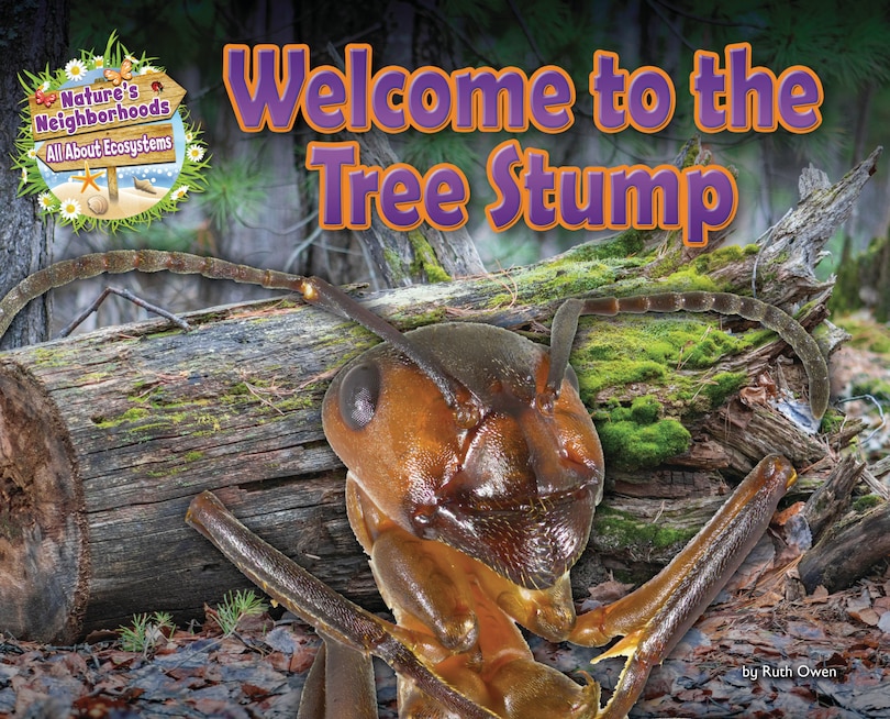 Couverture_Welcome to the Tree Stump
