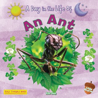 Front cover_An Ant