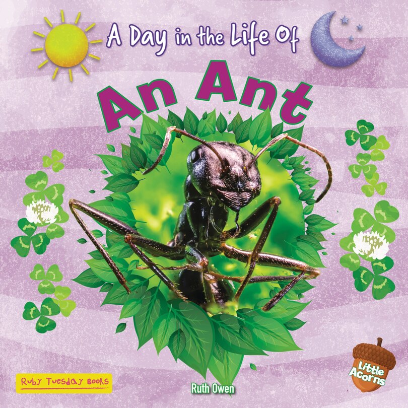 Front cover_An Ant
