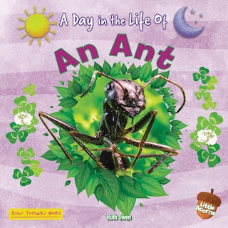 Front cover_An Ant