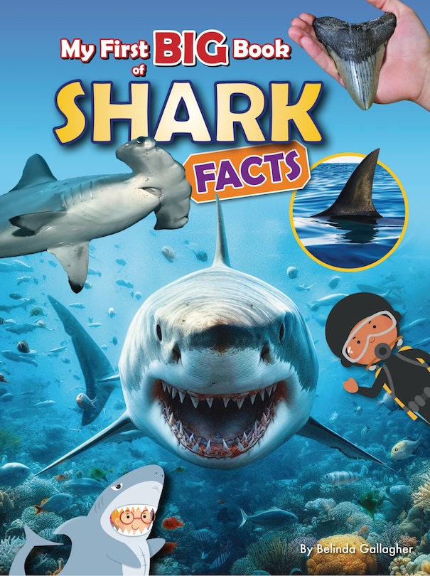 Front cover_My First Big Book of Shark Facts