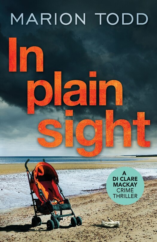 Front cover_IN PLAIN SIGHT