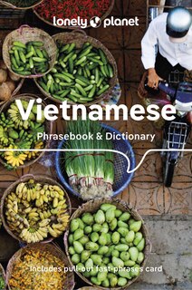 Couverture_Lonely Planet Vietnamese Phrasebook & Dictionary 9 9th Ed.