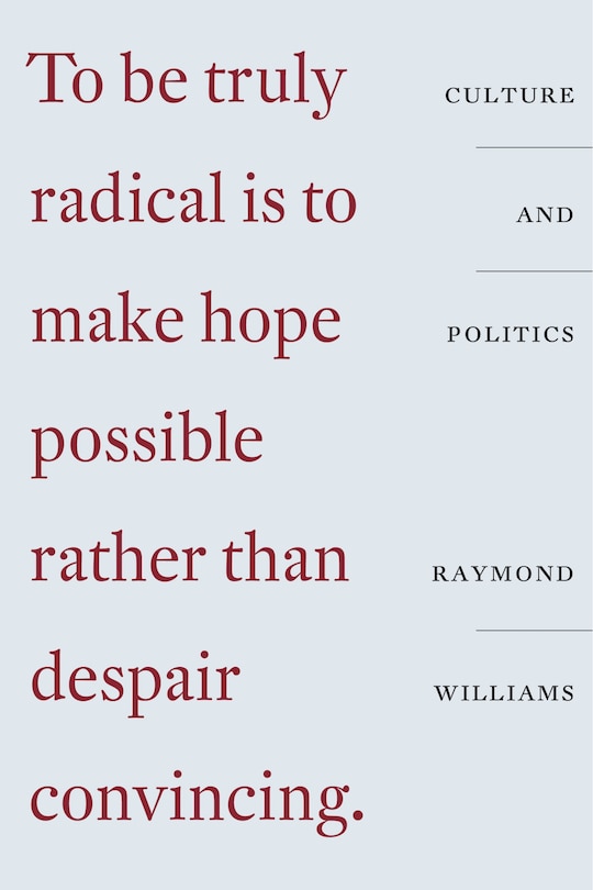 Couverture_Culture And Politics