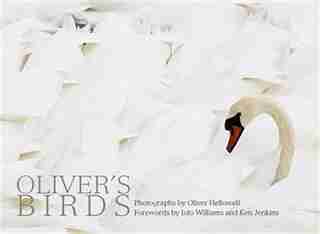 Oliver's Birds: By Oliver Hellowell by Iolo Williams