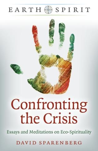 Couverture_Confronting The Crisis