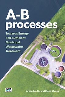 Couverture_A-b Processes