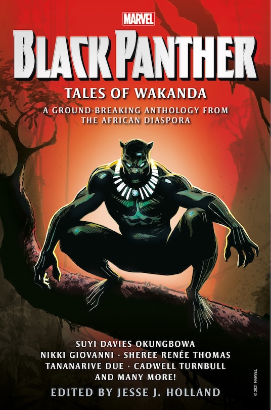 Front cover_Black Panther: Tales Of Wakanda