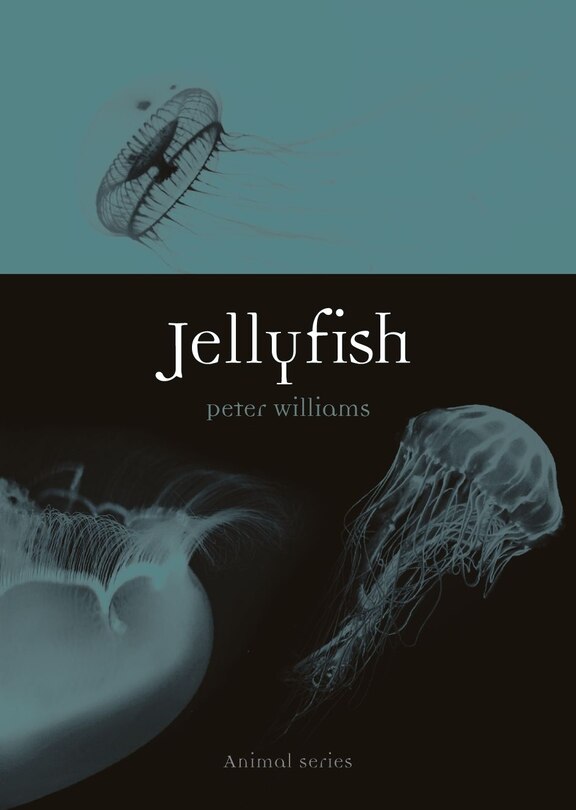 Front cover_Jellyfish
