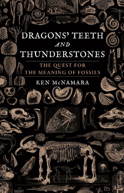 Front cover_Dragons’ Teeth and Thunderstones