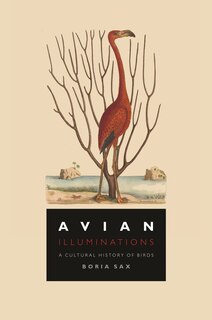 Couverture_Avian Illuminations