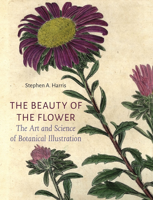Front cover_The Beauty of the Flower