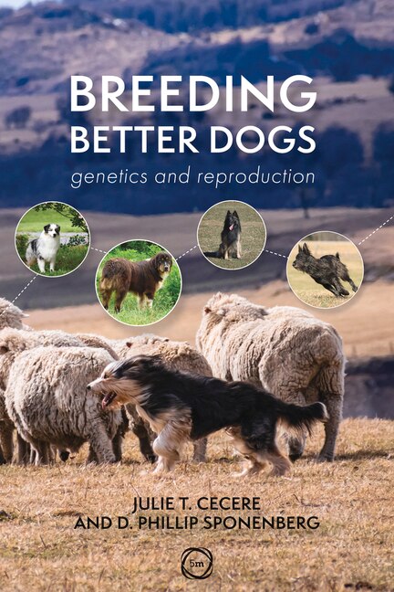 Front cover_Breeding Better Dogs
