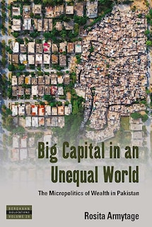 Front cover_Big Capital In An Unequal World