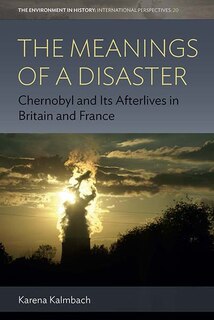 Front cover_The Meanings Of A Disaster
