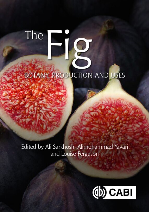 Couverture_The Fig