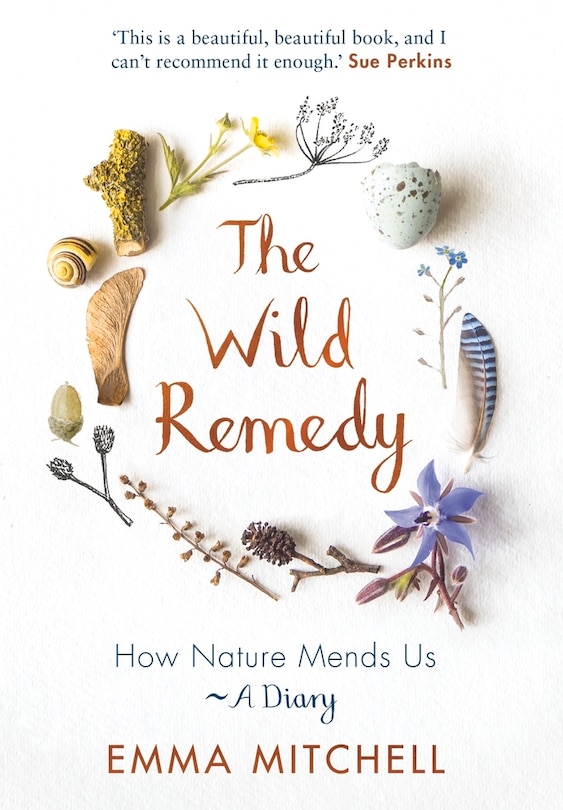 Front cover_The Wild Remedy
