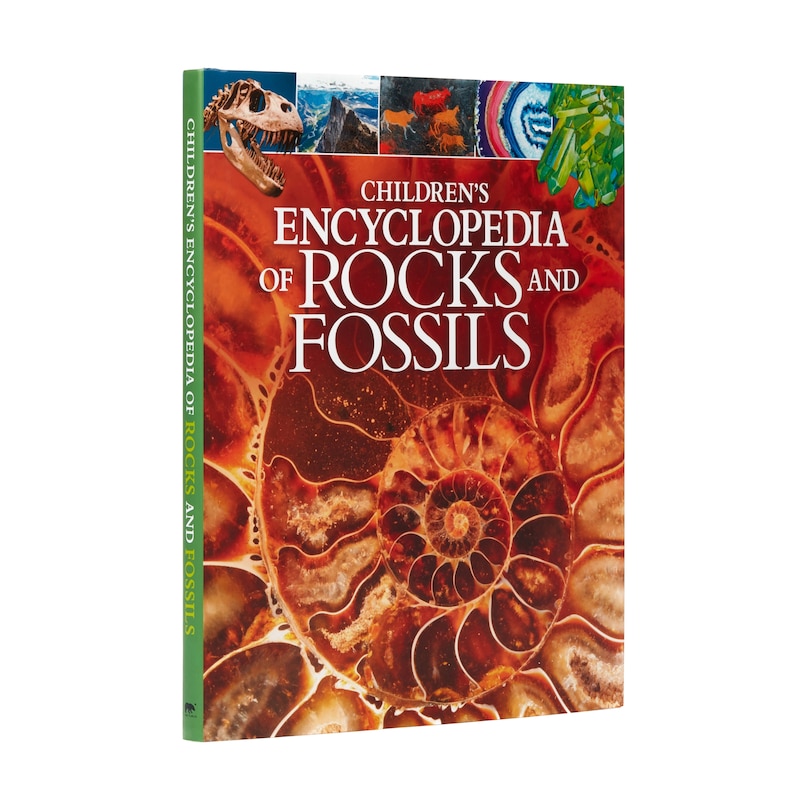 Front cover_Children's Encyclopedia Of Rocks And Fossils