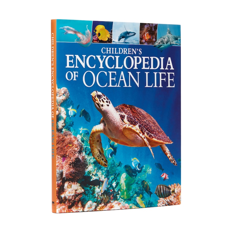 Front cover_Children's Encyclopedia of Ocean Life