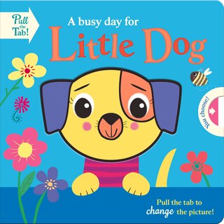 A busy day for Little Dog