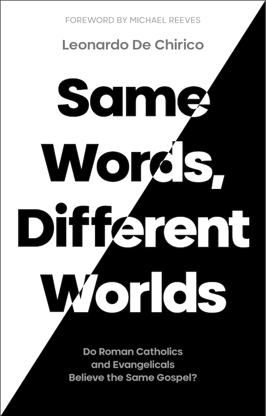 Front cover_Same Words, Different Worlds