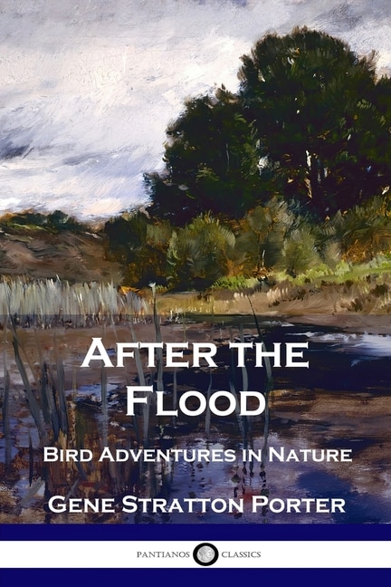 Front cover_After the Flood