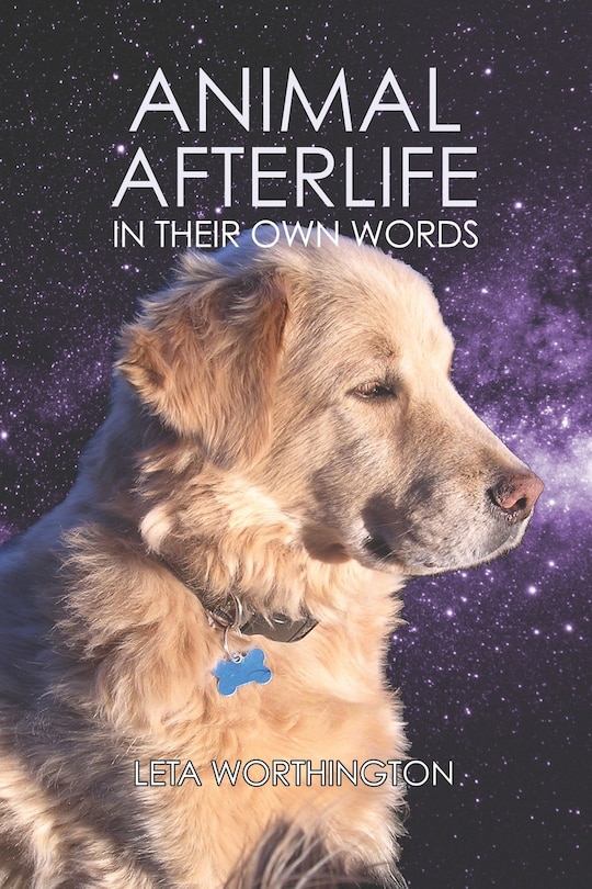 Couverture_Animal Afterlife